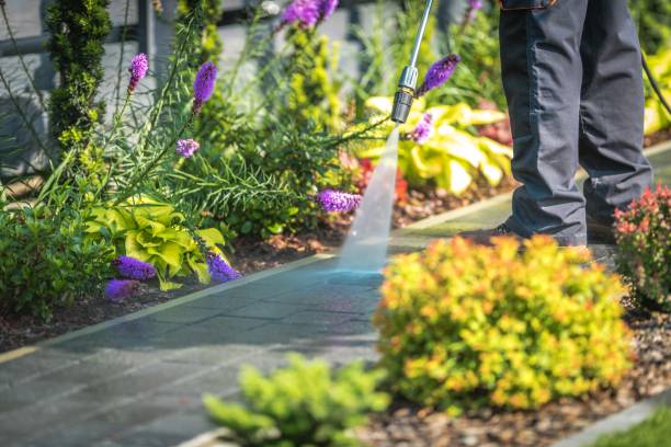 Best Dumpster Area Cleaning  in Titusville, PA